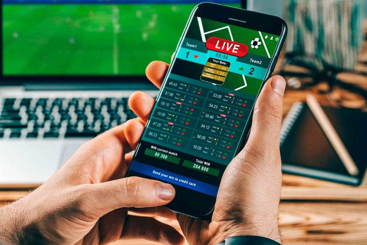 Your Guide to Sports Betting in Nova Scotia: Key Insights and Legal Tips