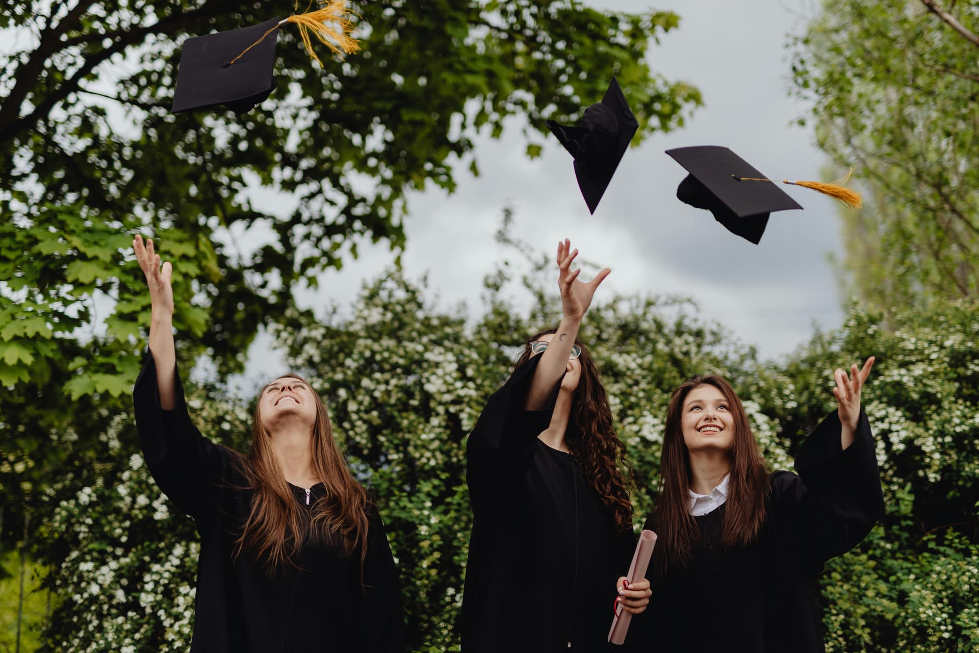 The Best Fake Diplomas That Look Professionally Designed