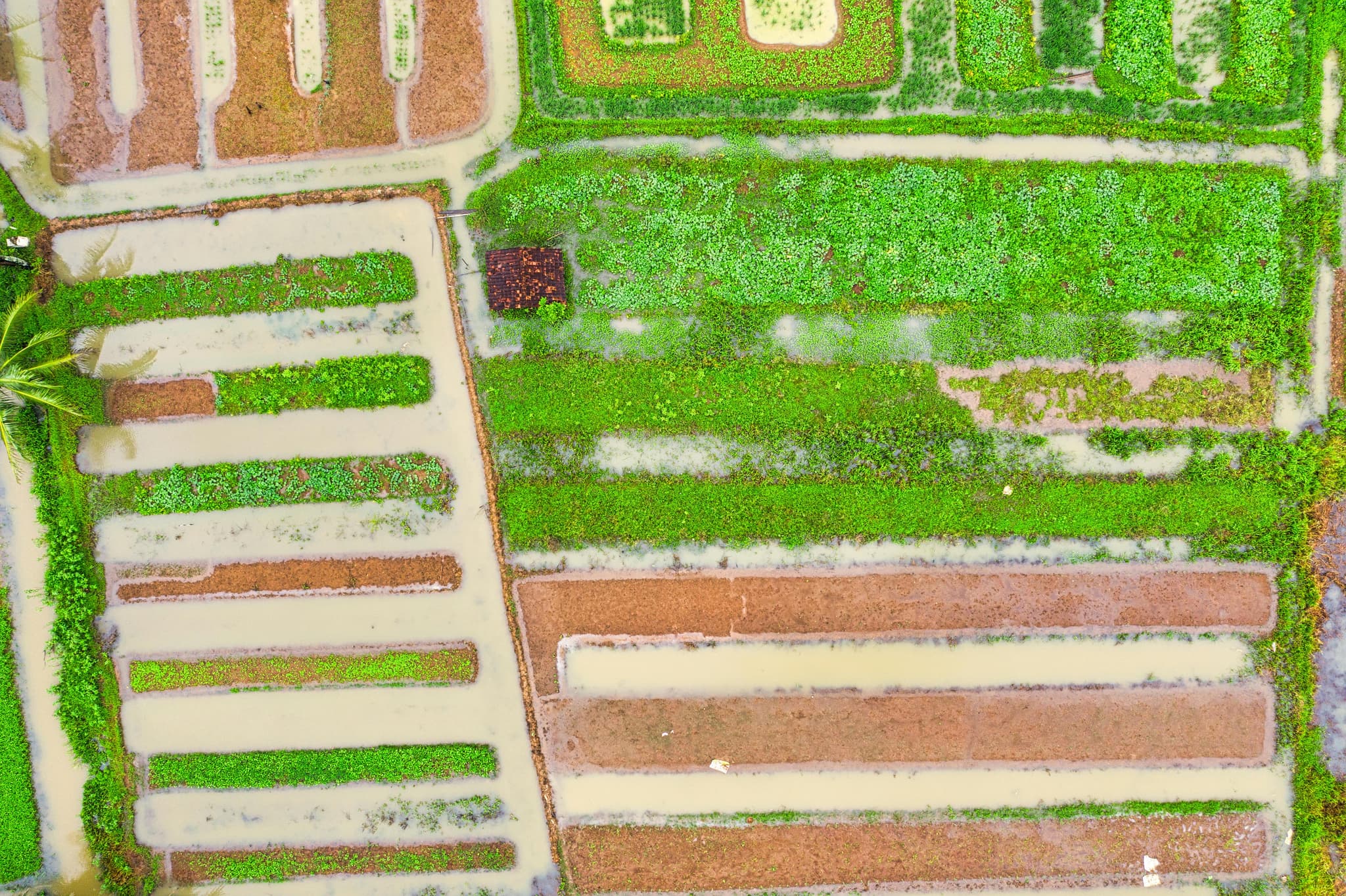 PROFESSIONAL IRRIGATION SERVICES IN HASLET, TX – QUALITY GUARANTEED