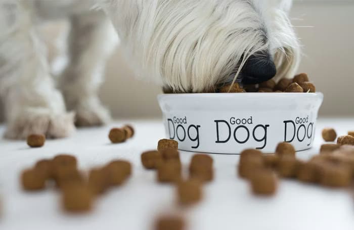 Badlands Ranch Dog Food: Designed for Dogs of All Ages and Sizes