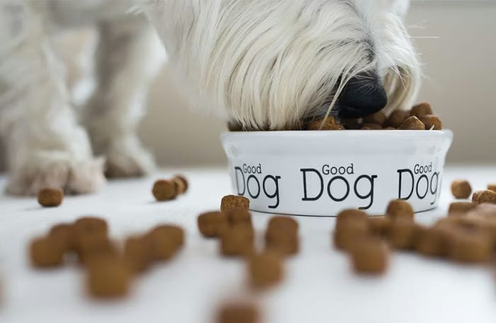 Badlands Ranch Dog Food: Designed for Dogs of All Ages and Sizes