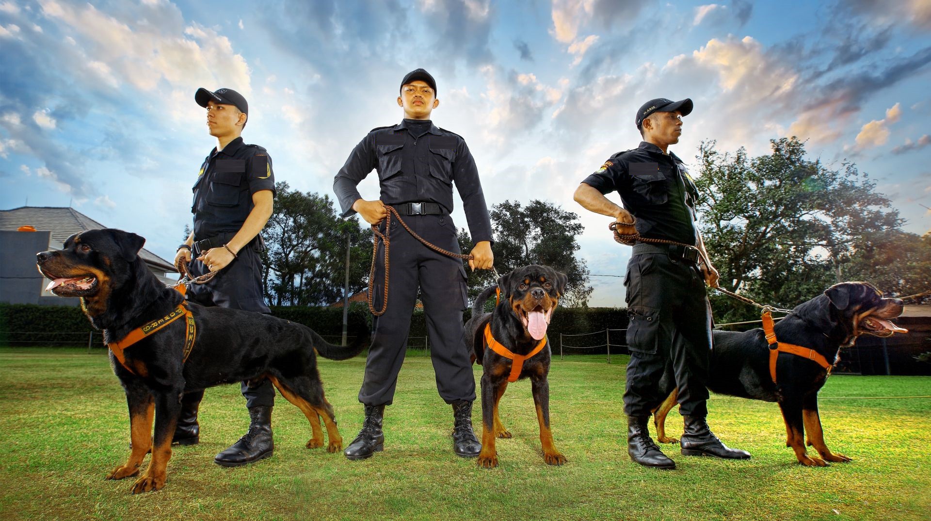 Security Dogs: A Powerful Addition to Any Physical Security Strategy