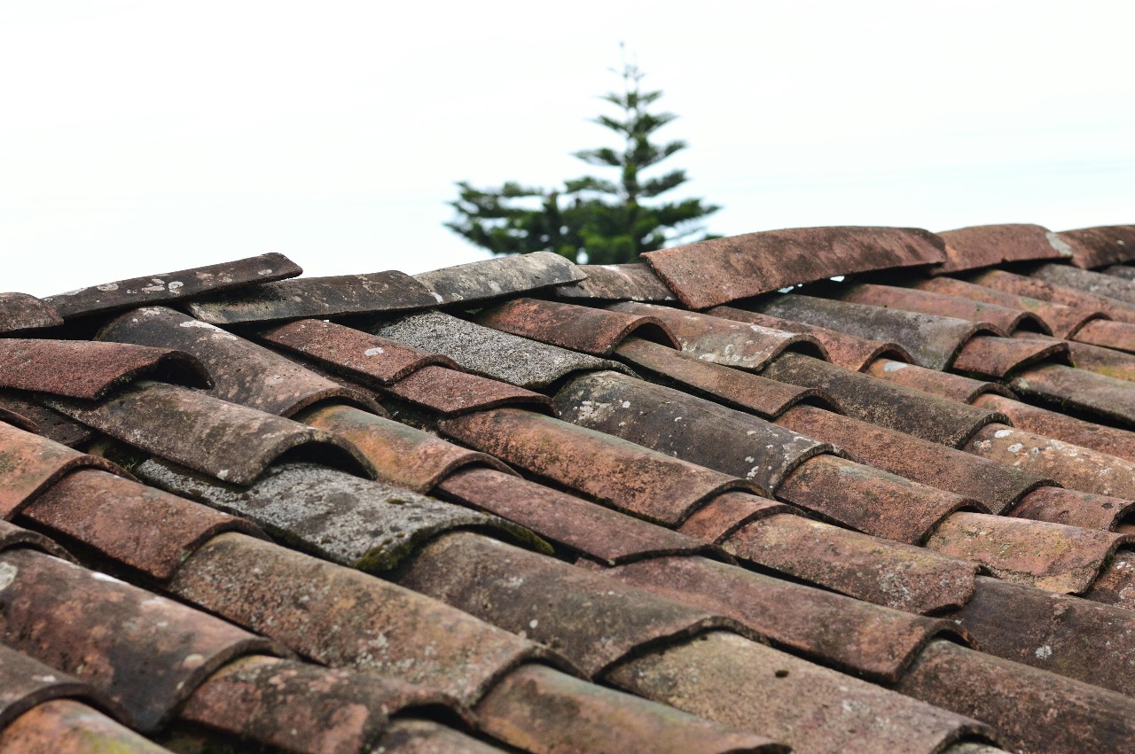 How a Professional Roofing Contractor Can Lower Your Energy Bills