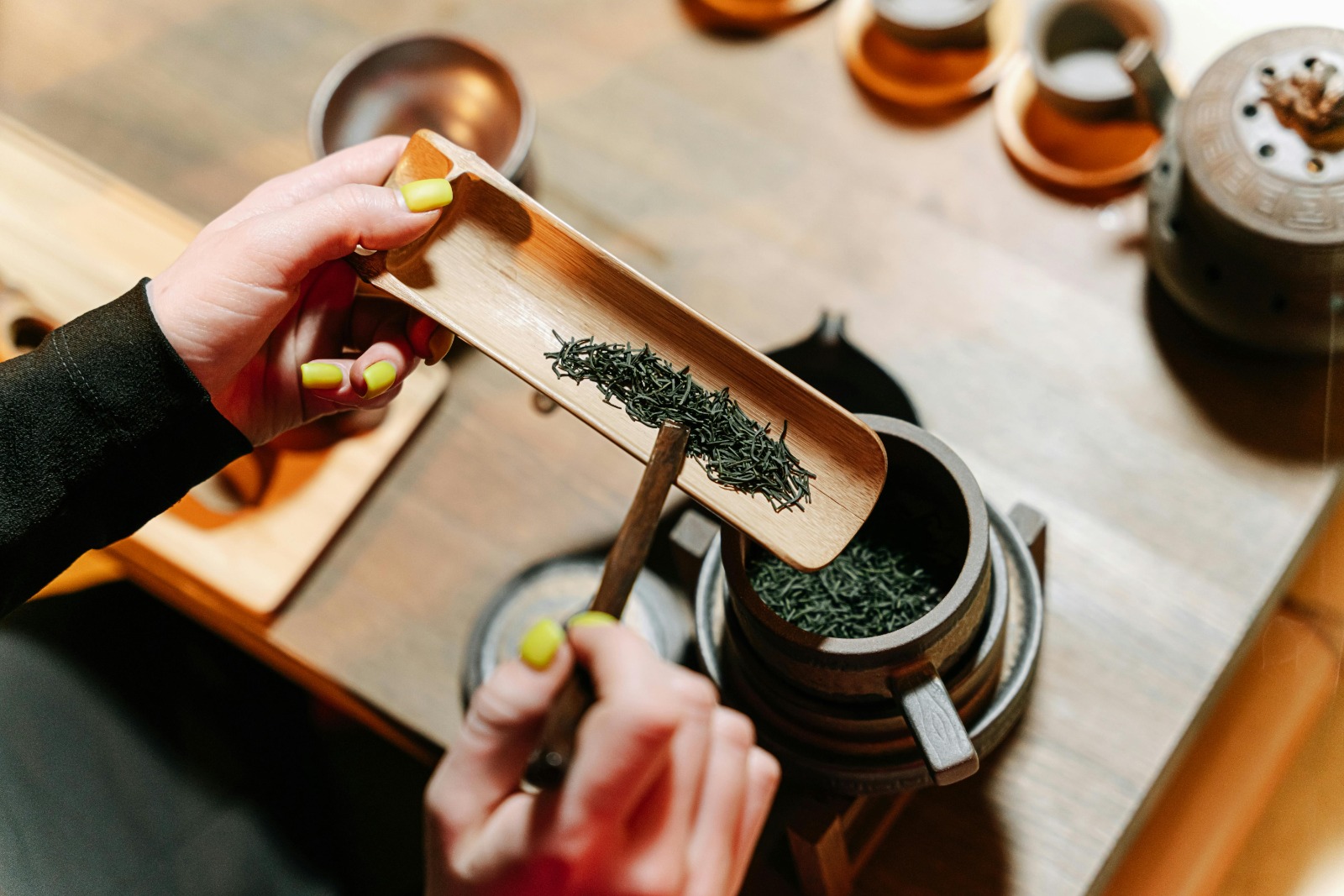 Ayurveda Online Courses with Interactive Learning Modules