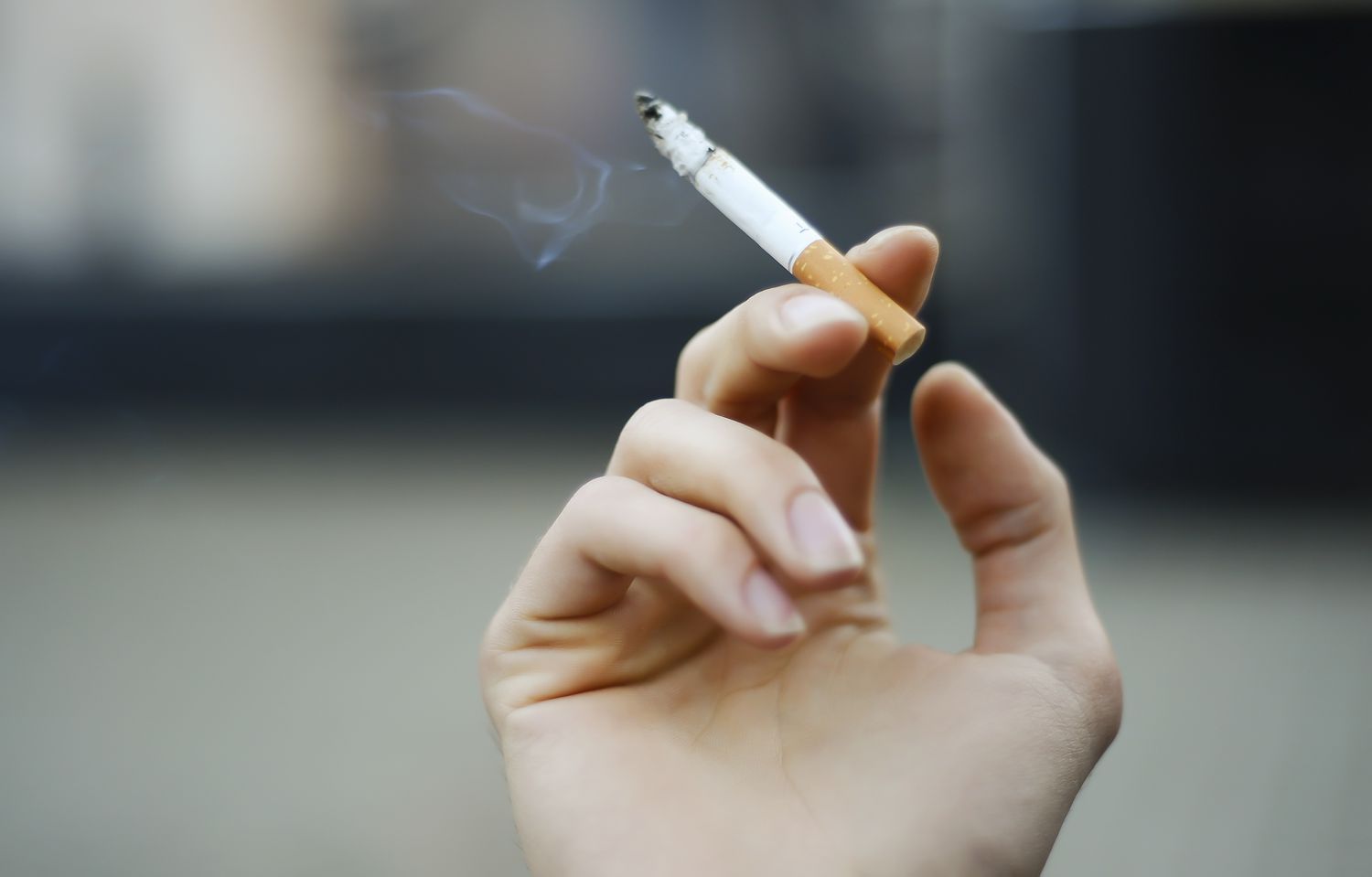 My Native Smokes: Trusted Smokes Canada Supplier