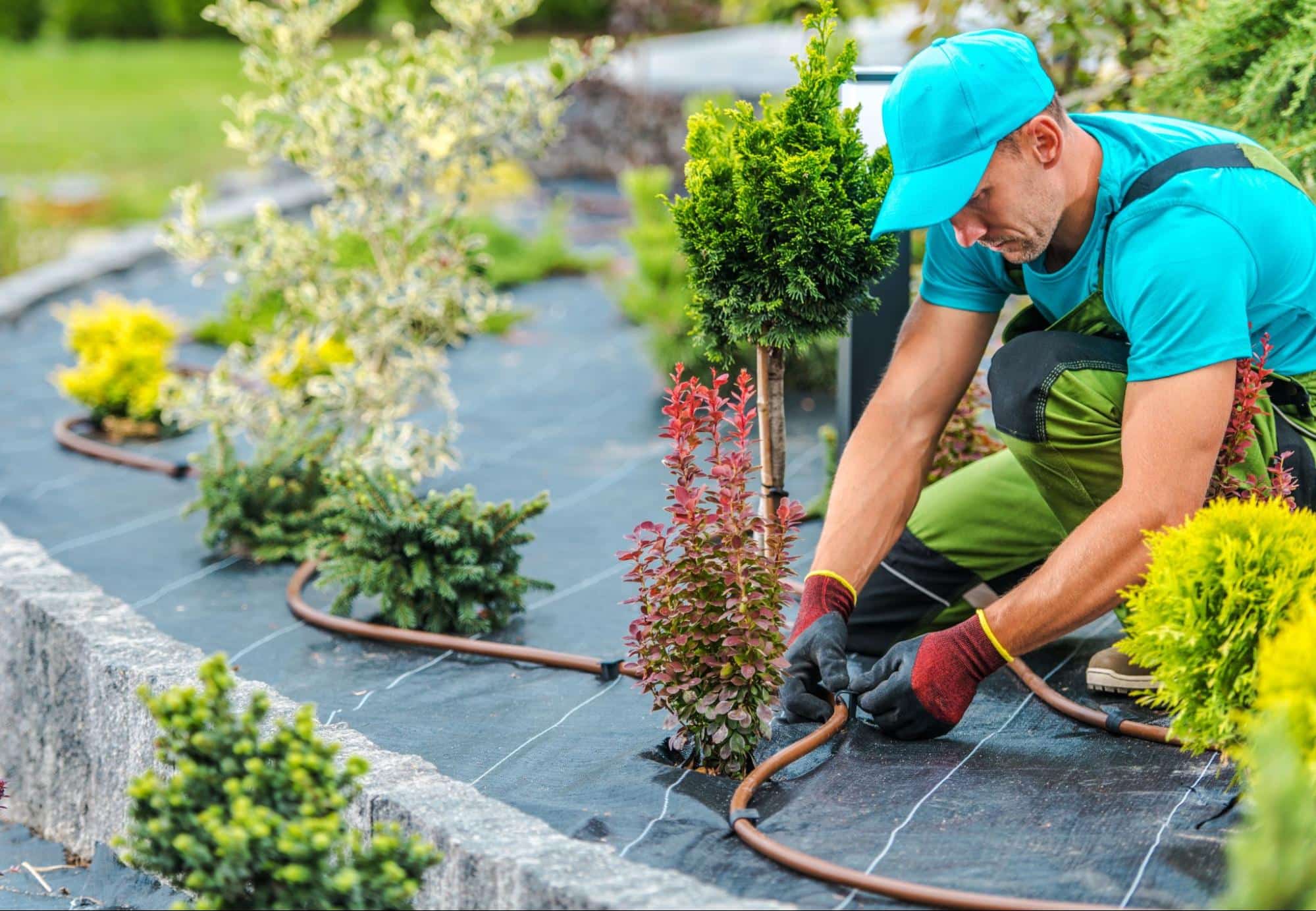 Expert Drainage Services in Fort Worth, TX for Long-Term Solutions