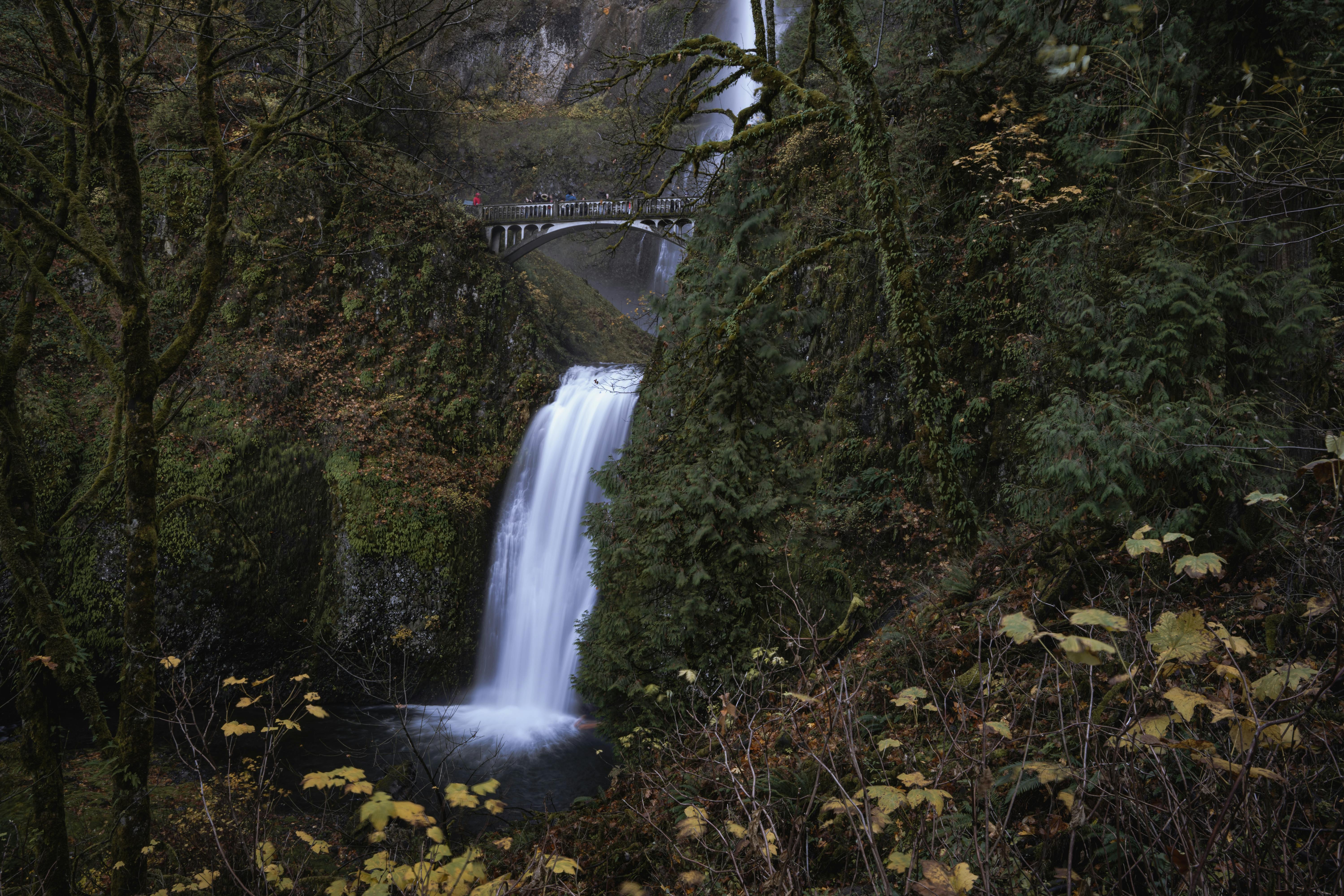 Multnomah Falls Waterfalls Address and Access Guide