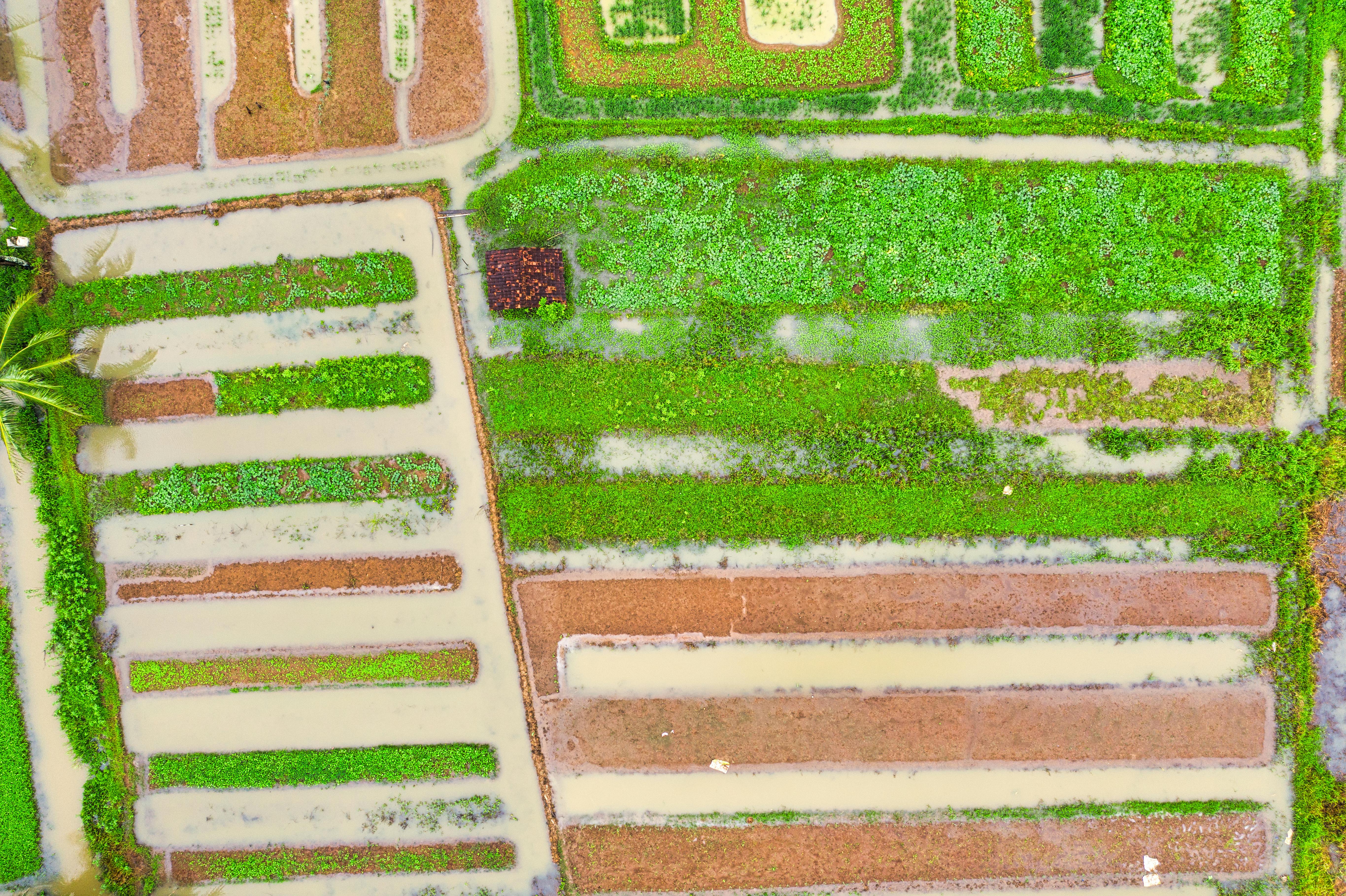 PROFESSIONAL IRRIGATION SERVICES IN HASLET, TX – QUALITY GUARANTEED
