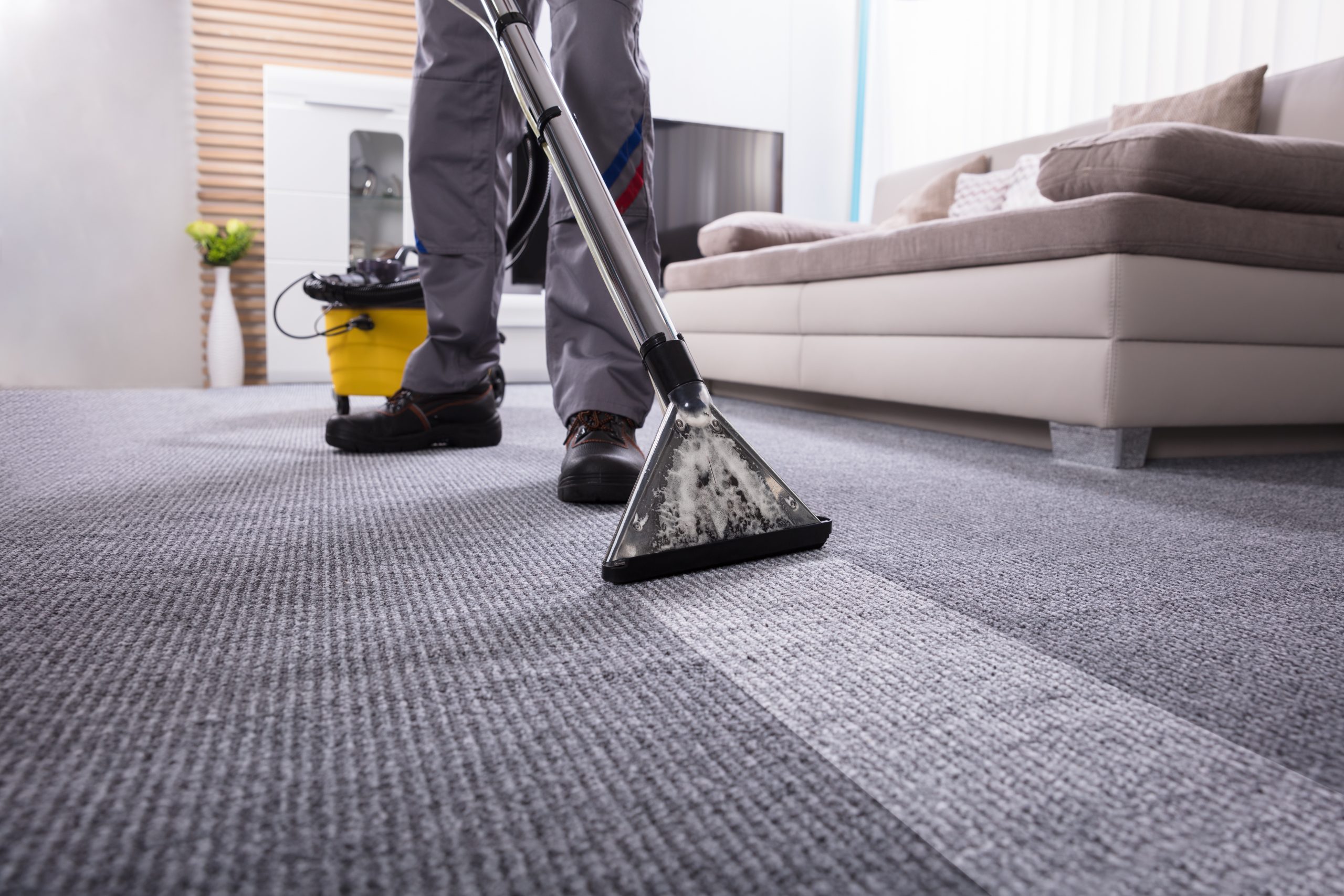 Expert Carpet Cleaners Lincoln CA for Homes &amp; Offices