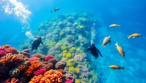 Experience marine beauty with https://marvinscubaexpeditions.com as divers engage with vibrant coral reefs.