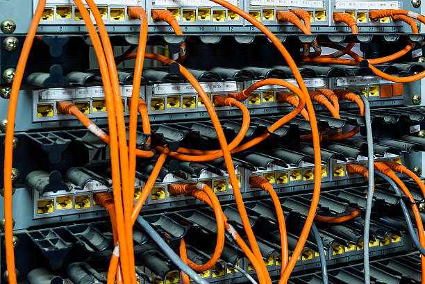network cables connected to switches